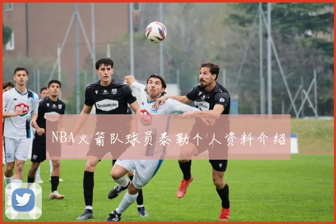 NBA火箭队球员泰勒个人资料介绍