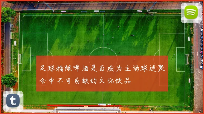 足球精酿啤酒是否成为主场球迷聚会中不可或缺的文化饮品