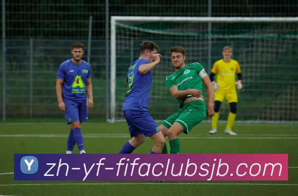 法甲顶级射手得分效率与进球分布分析