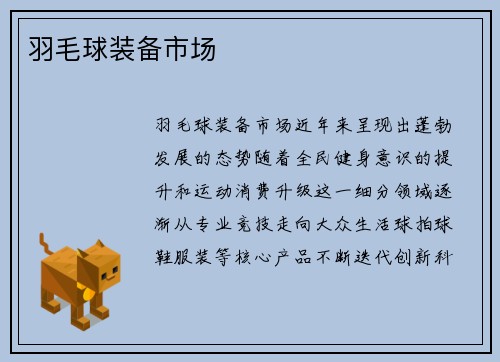 羽毛球装备市场